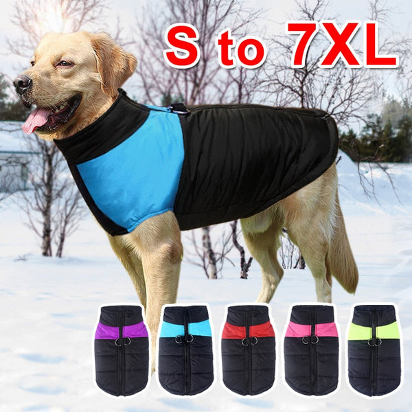 Winter Waterproof Dog Clothes