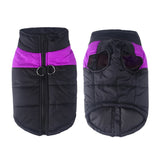 Winter Waterproof Dog Clothes