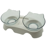 Non-Slip Double Dog Bowl