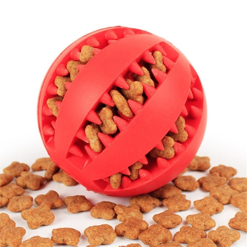 Interactive Elasticity Ball Dog Chew Toys