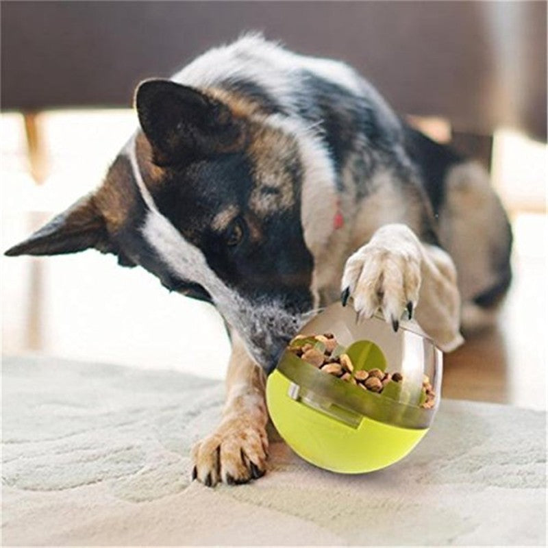 Interactive Food Ball Food Dispenser