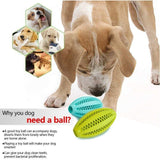 Interactive Elasticity Ball Dog Chew Toys