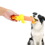 Squeak Chew Dog Toys