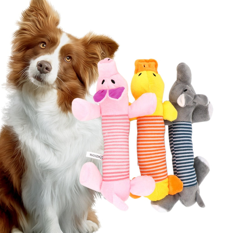 Squeak Chew Dog Toys