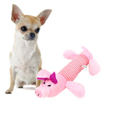 Squeak Chew Dog Toys