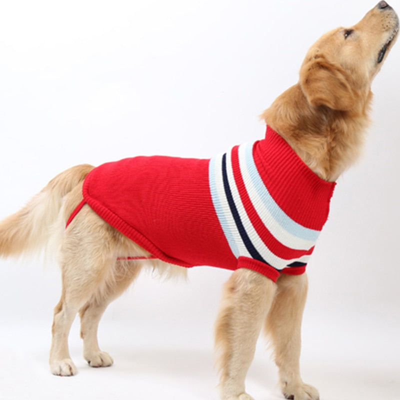 Stripe Big Dog Sweater