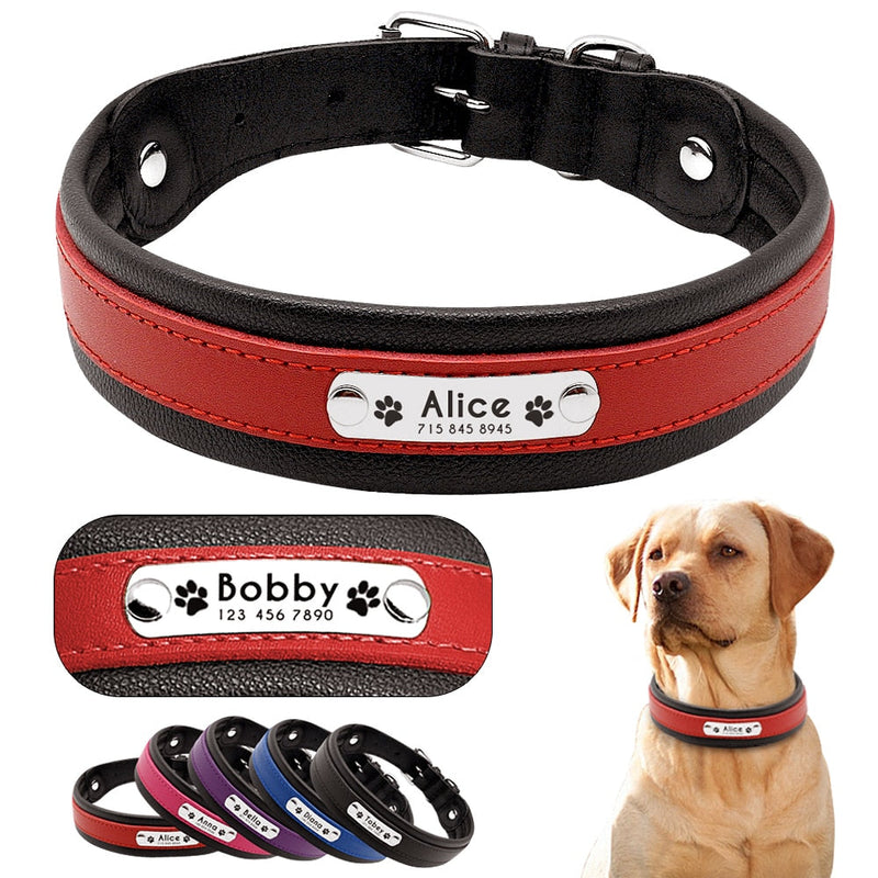 Personalized Leather Dog Collar