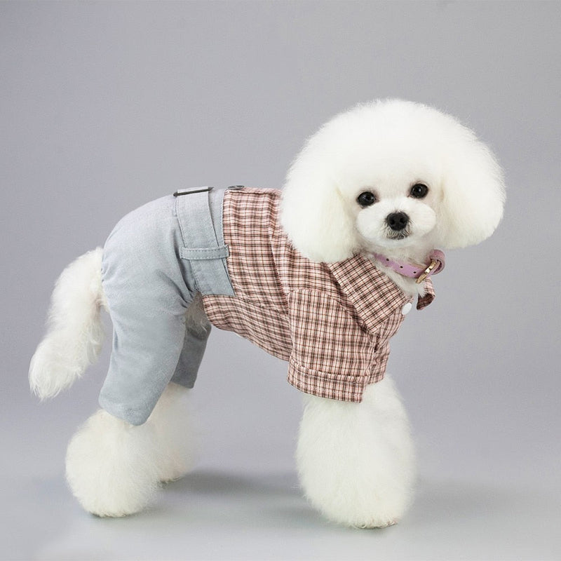 Thick Dogs Costume Clothing