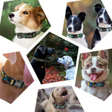 Custom Pet Dog Tag Collars