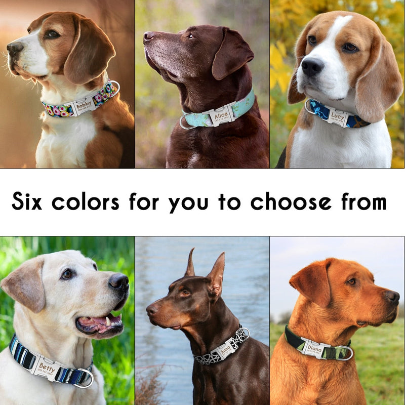 Nylon Pet Dog Tag Collar