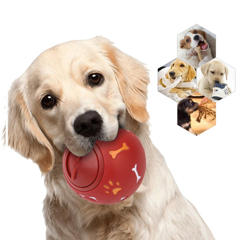 Puppy Chew Toys For Dog Treats Dispenser