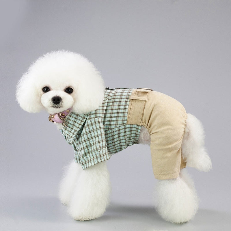 Thick Dogs Costume Clothing