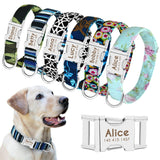 Nylon Small Dogs Puppy Collars