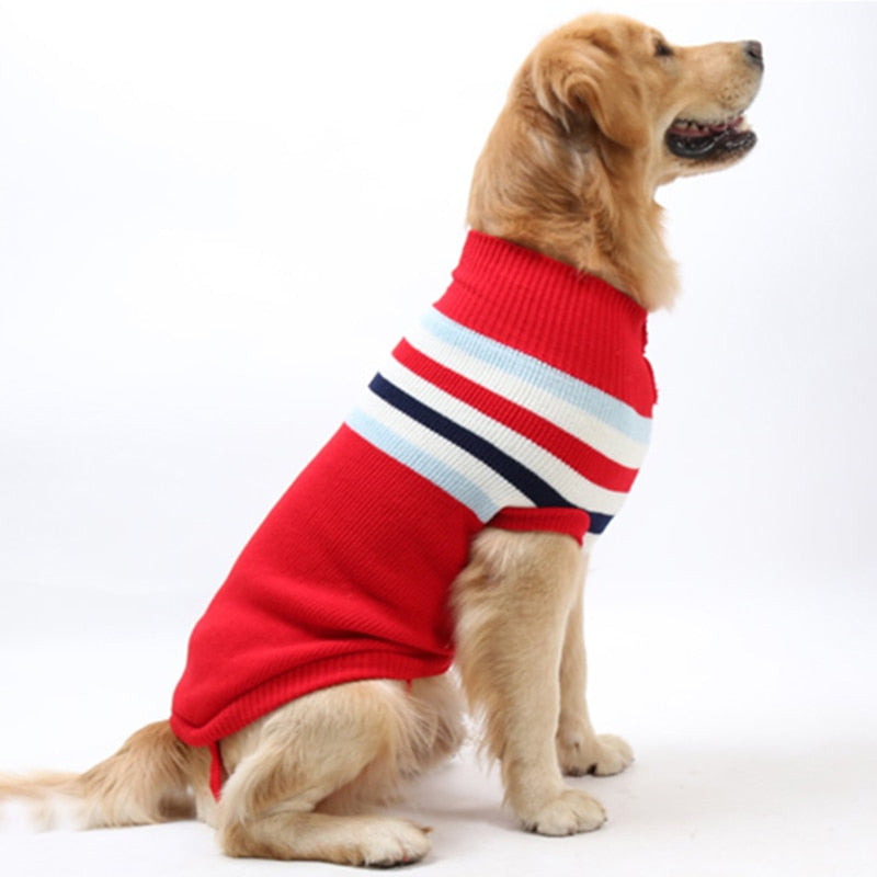 Stripe Big Dog Sweater