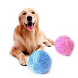 Electric Pet Rolling Ball Toy