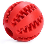 Interactive Elasticity Ball Dog Chew Toys