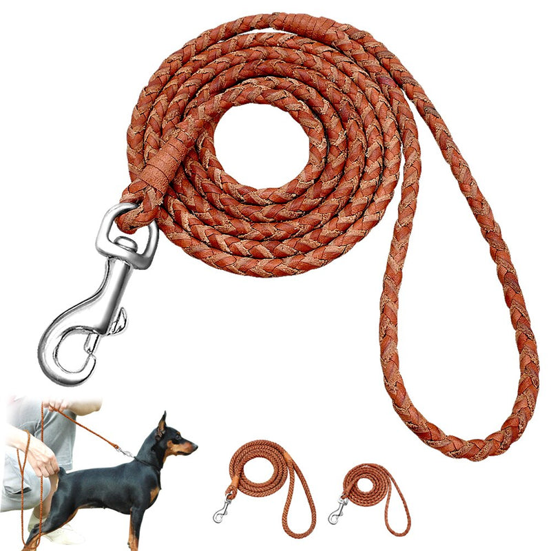 Rolled Leather Dog Leash