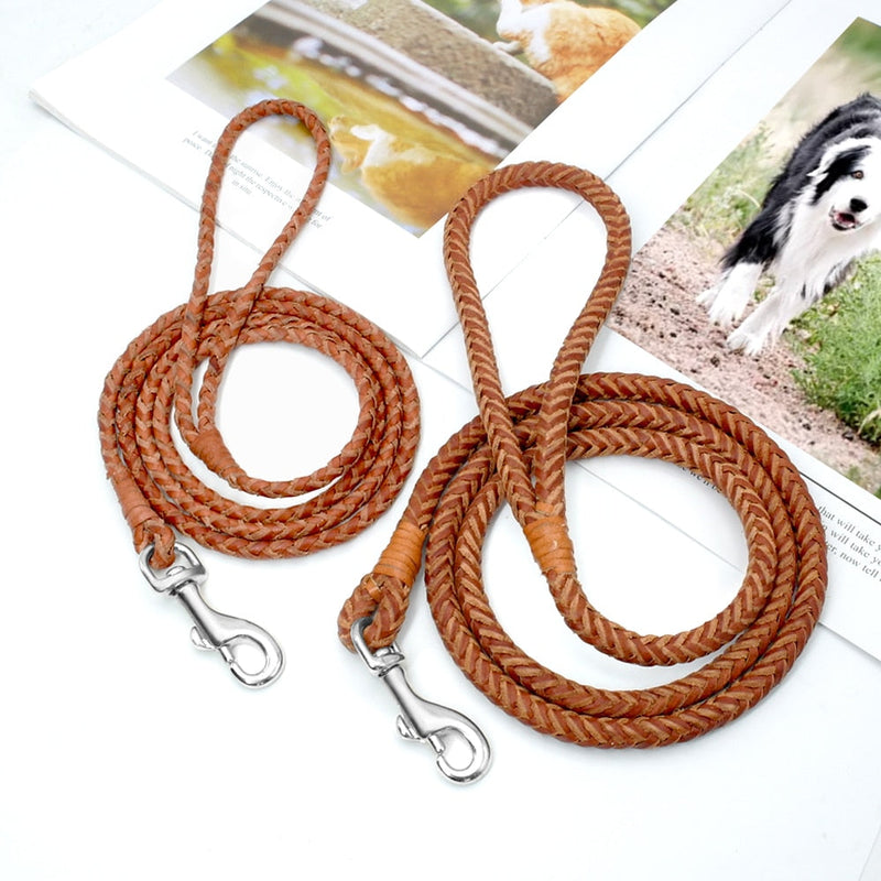 Rolled Leather Dog Leash