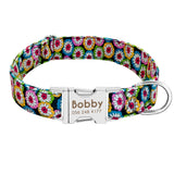 Nylon Small Dogs Puppy Collars