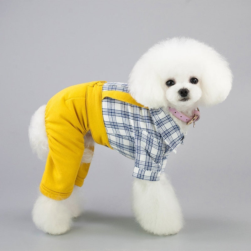 Thick Dogs Costume Clothing