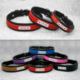 Personalized Leather Dog Collar