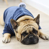 Dog Hoodie York