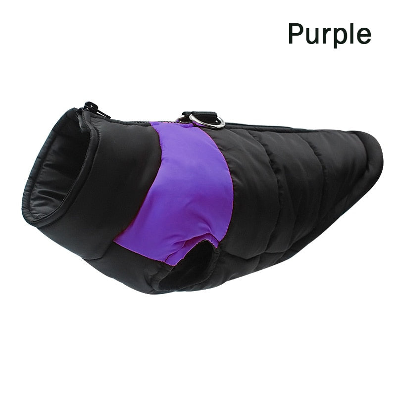 Waterproof Dog Padded Zipper Jacket