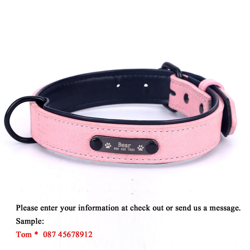 Personalized Custom Leather Dog Collar