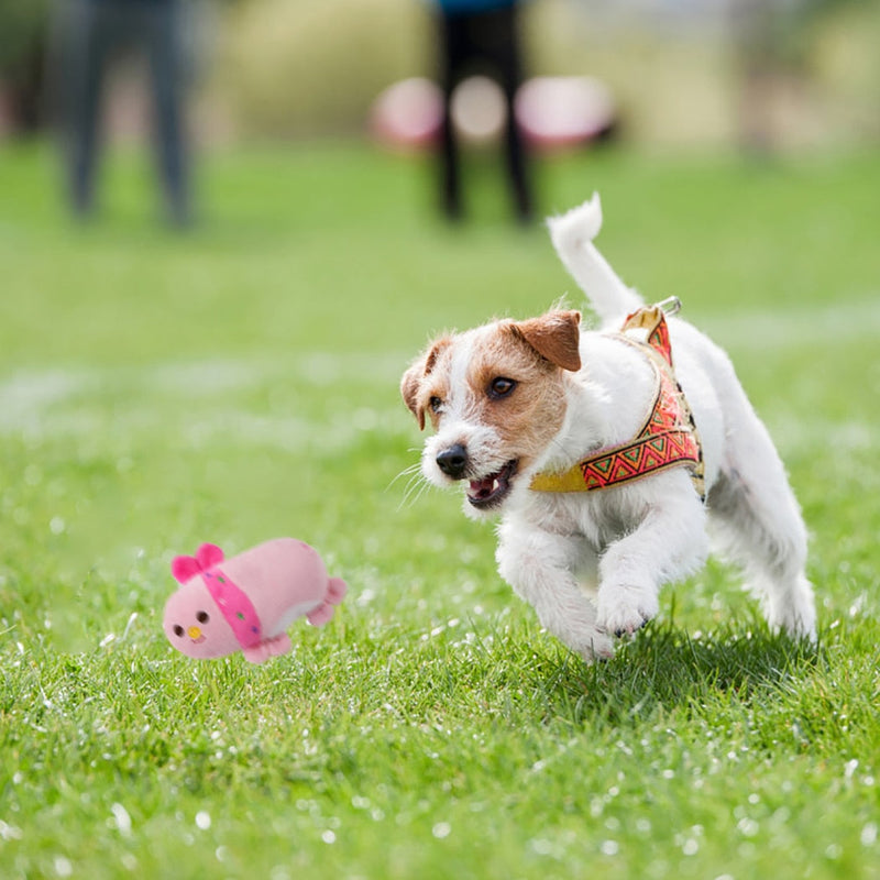 1pc Plush Squeaky Bone Dog Toys