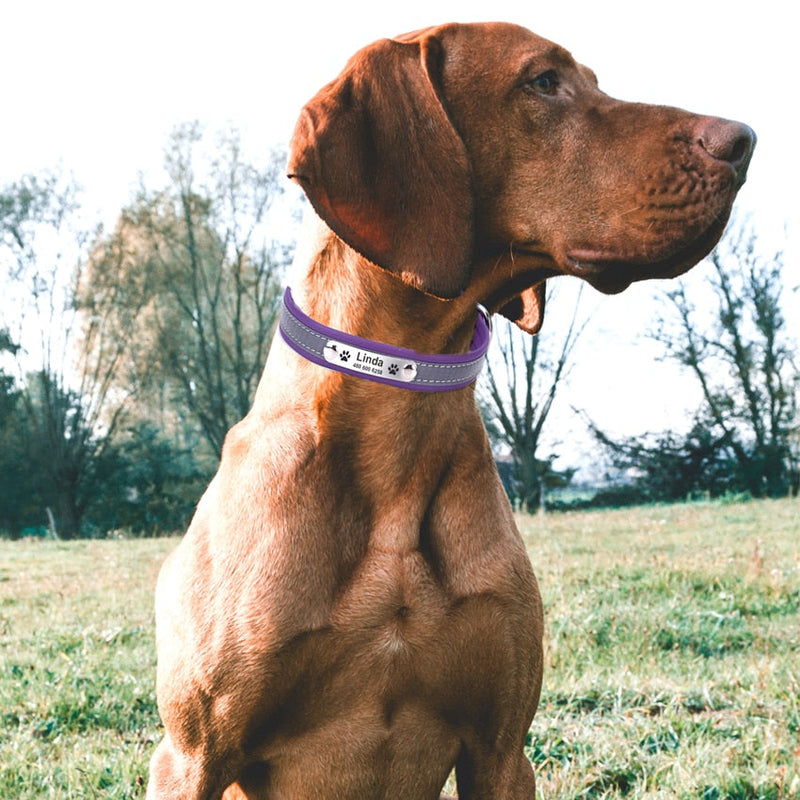 Leather Reflective Dogs Collar