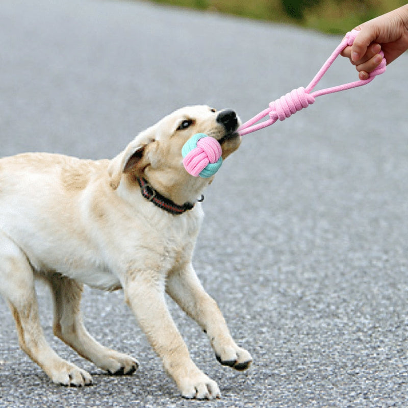 Bite-Resistant Pet Puppy Dog Toy Chew Ball