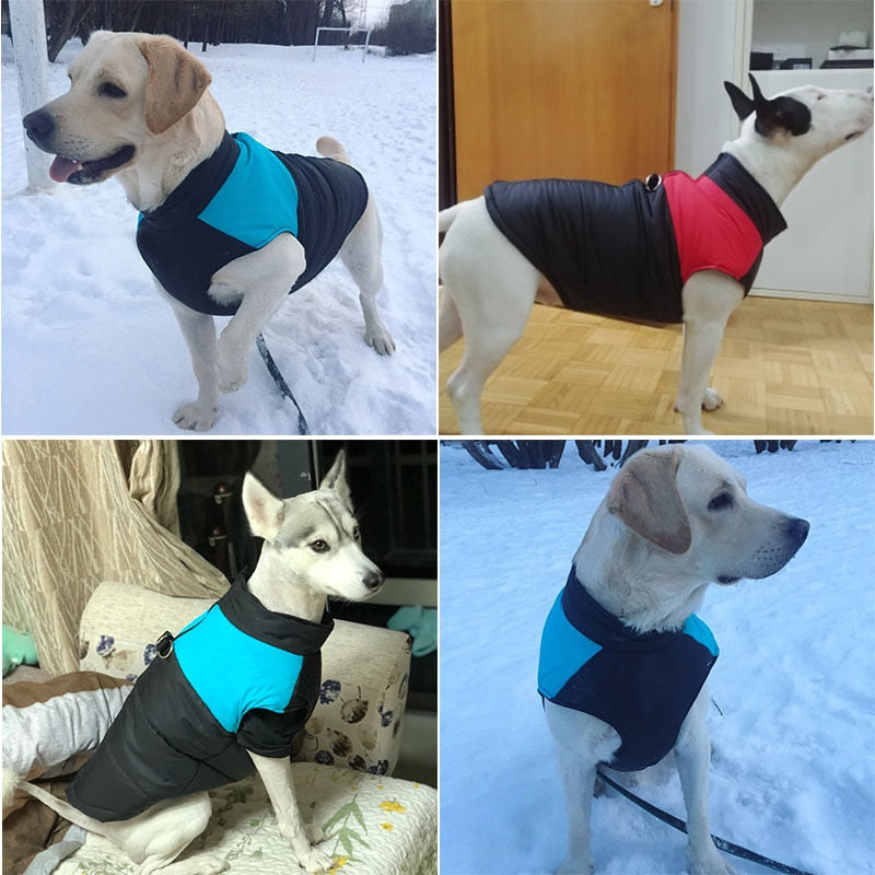 Waterproof Dog Padded Zipper Jacket