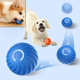 Dog Automatic Moving Bouncing Rolling Ball