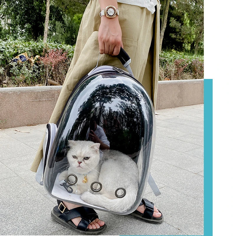 Pet Backpacks Breathable Portable Transparent  Bags