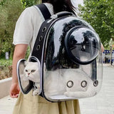 Pet Backpacks Breathable Portable Transparent  Bags