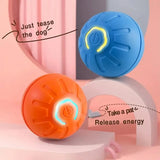 Dog Automatic Moving Bouncing Rolling Ball