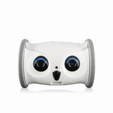 Upgraded Automatic Smart Pet Toy Interactive Owl