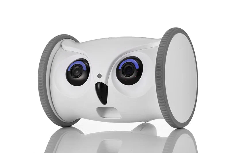 Upgraded Automatic Smart Pet Toy Interactive Owl