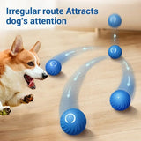 Dog Automatic Moving Bouncing Rolling Ball