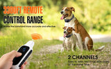 800m Digital Dog Training Collar