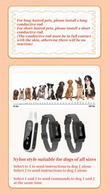 800m Digital Dog Training Collar