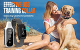 800m Digital Dog Training Collar