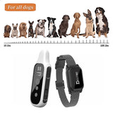 800m Digital Dog Training Collar