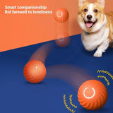 Dog Automatic Moving Bouncing Rolling Ball