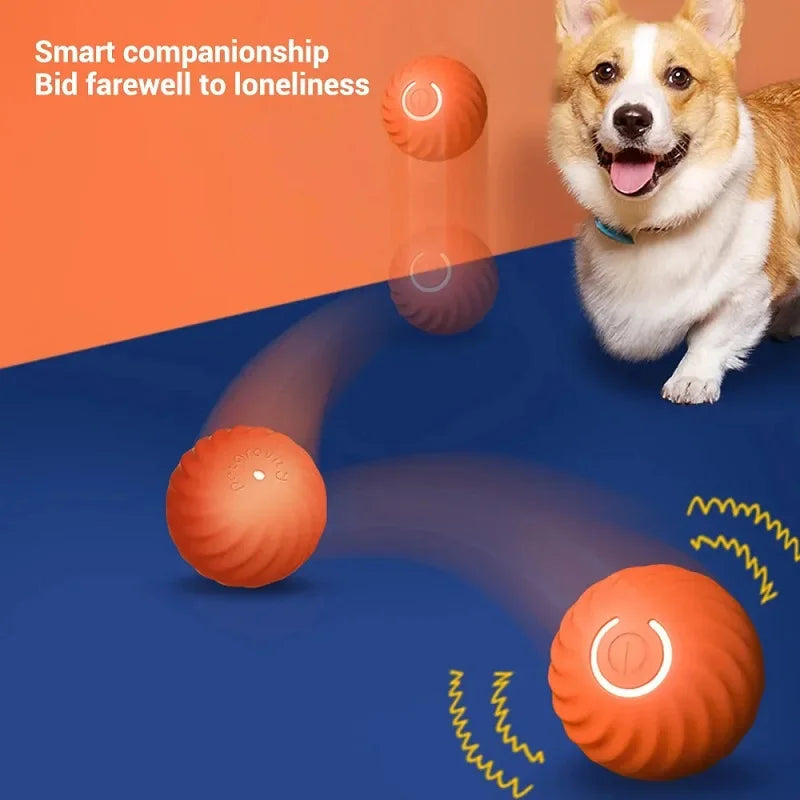 Dog Automatic Moving Bouncing Rolling Ball