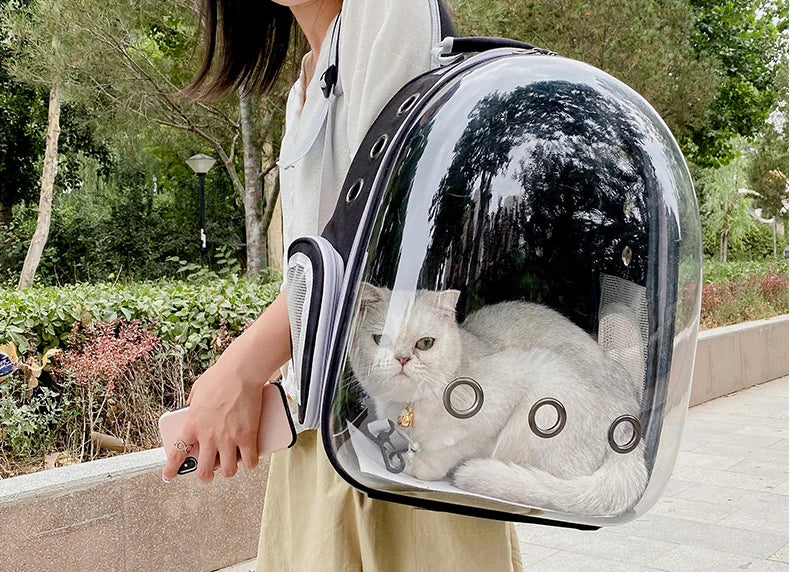 Pet Backpacks Breathable Portable Transparent  Bags