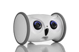 Upgraded Automatic Smart Pet Toy Interactive Owl