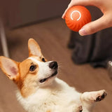 Dog Automatic Moving Bouncing Rolling Ball